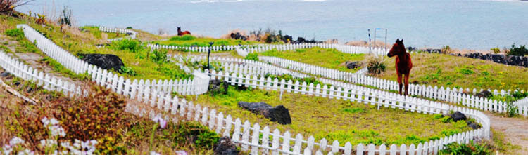 大連到濟州島旅游旅游推薦理由