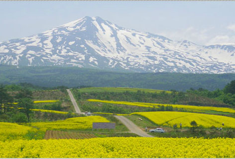 大阪京都\/奈良\/熊本\/富士山\/箱根\/東京6日半自助之旅